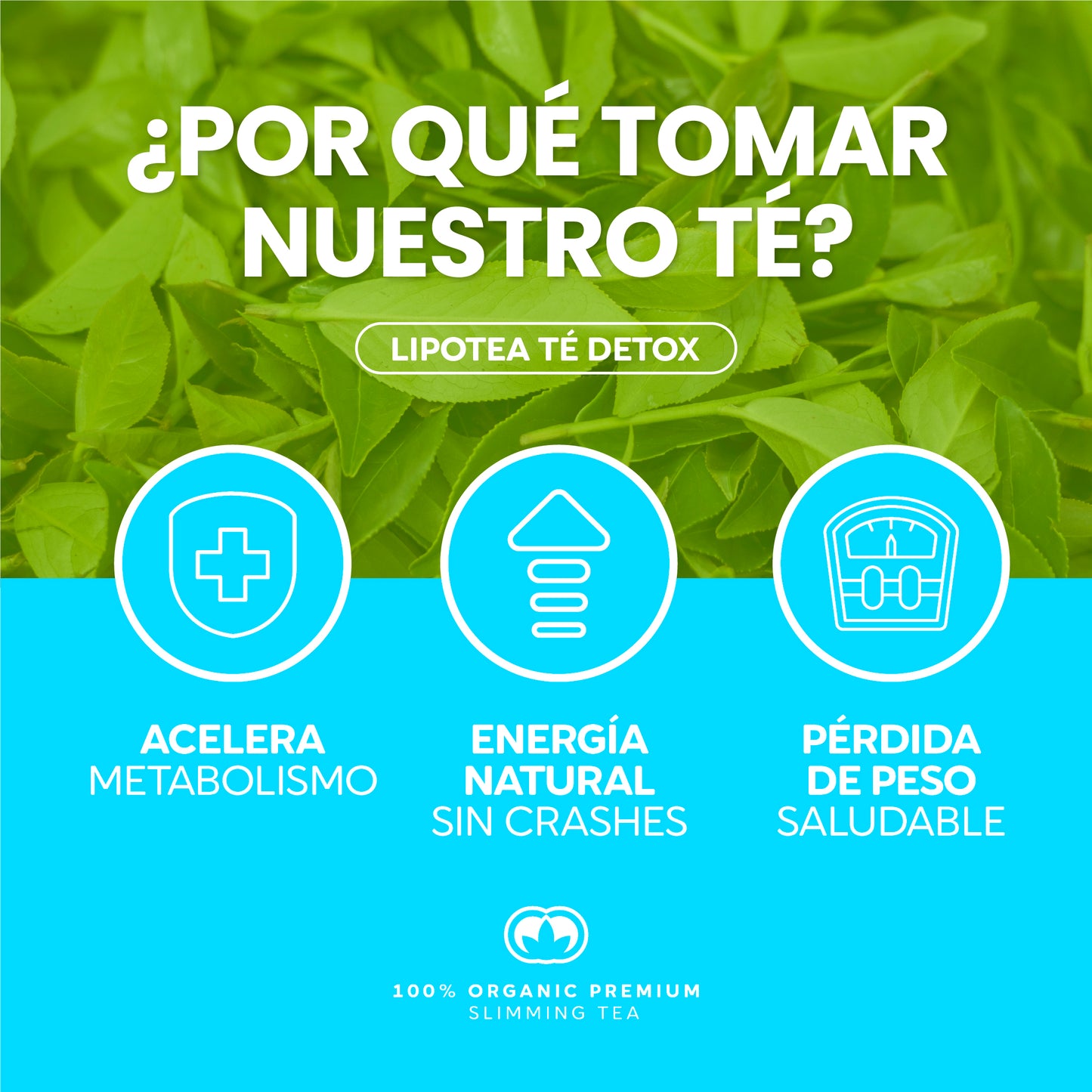 VitaBloom LipoTea ⎸ Pierde Peso Detox