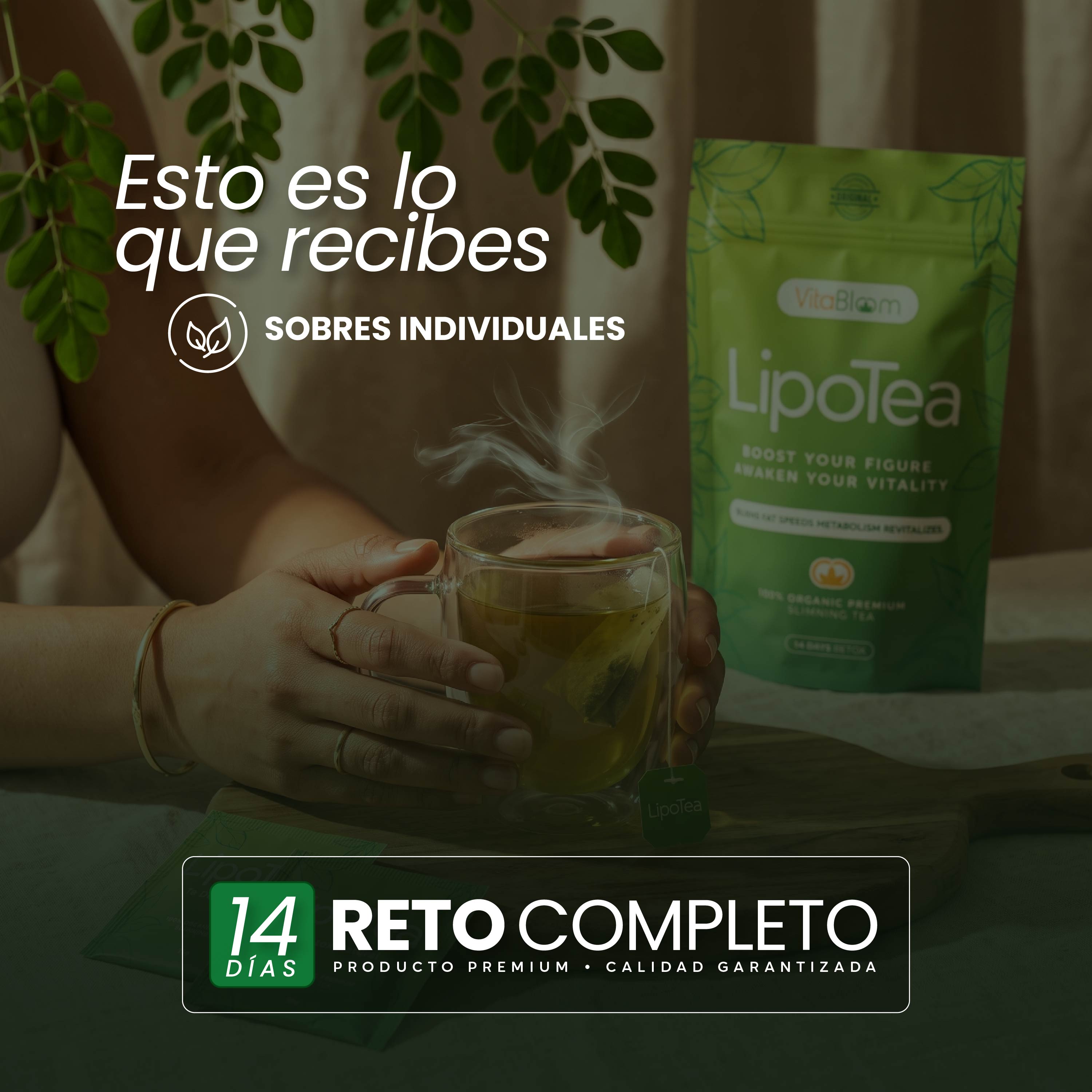 VitaBloom - LipoTea ⎸ Pierde Peso 14 Dias