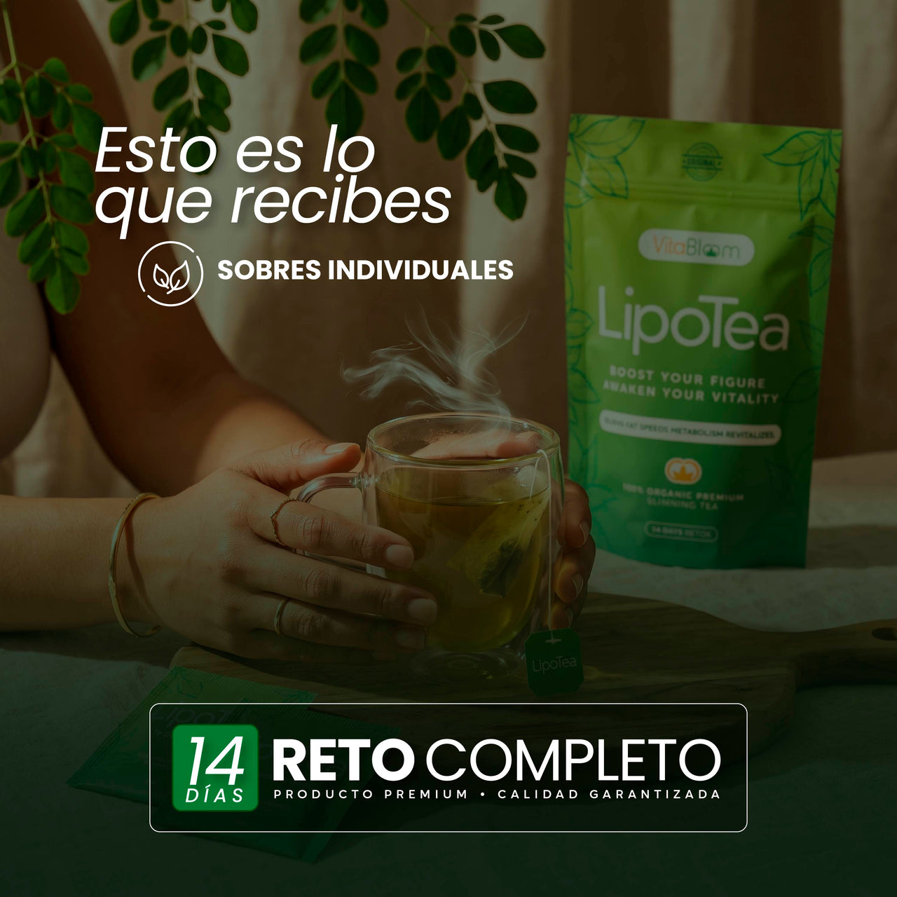 VitaBloom - LipoTea ⎸ Pierde Peso 14 Dias